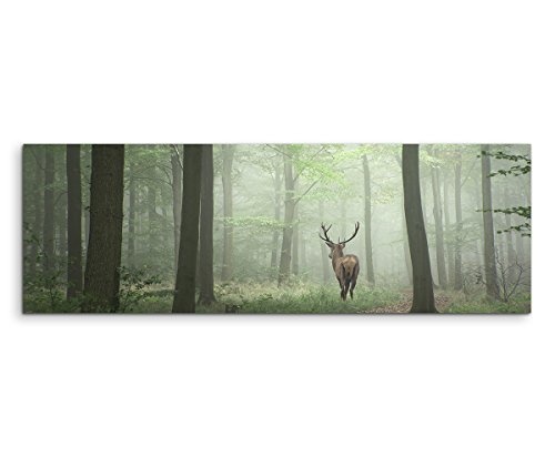 Sinus Art XXL Panoramabild 150x50cm Landschaftsfotografie - Hirsch im Nebelwald