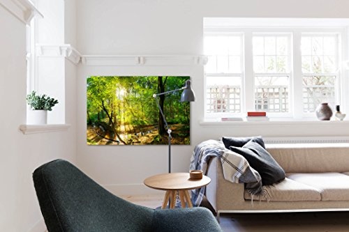 Paul Sinus Art Leinwandbilder | Bilder Leinwand 120x80cm Wald im Sonnenschein