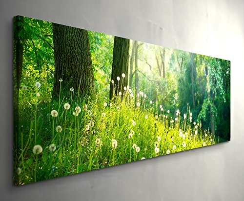 Eau Zone Wandbild auf Leinwand 120x40cm Pusteblumen im Wald