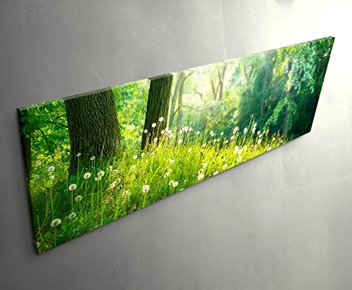 Eau Zone Wandbild auf Leinwand 120x40cm Pusteblumen im Wald