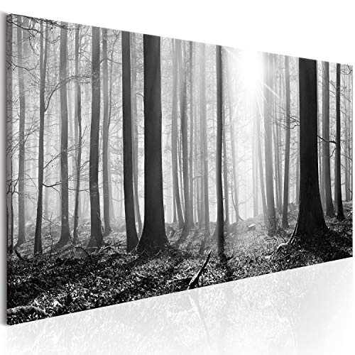 murando - Bilder Wald 120x40 cm Vlies Leinwandbild 1 TLG Kunstdruck modern Wandbilder XXL Wanddekoration Design Wand Bild - Waldlandschaft Natur Panorama Baum schwarz-weiß c-B-0235-b-a