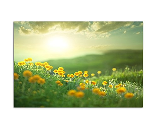 120x80cm - Fotodruck auf Leinwand und Rahmen Blumenwiese Frühling Sonne Natur - Leinwandbild auf Keilrahmen modern stilvoll - Bilder und Dekoration