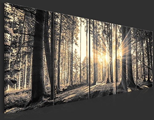 murando - Bilder Wald 200x80 cm Vlies Leinwandbild 5 TLG Kunstdruck modern Wandbilder XXL Wanddekoration Design Wand Bild - Waldlandschaft Natur Panorama Baum c-C-0177-b-o
