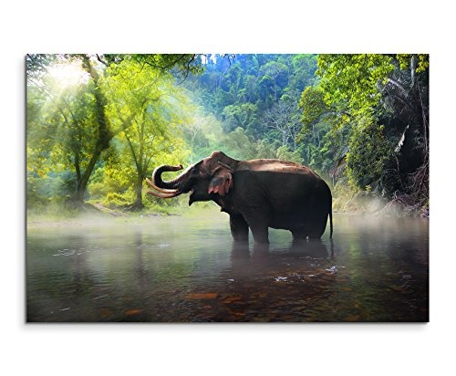 Paul Sinus Art Kunstfoto auf Leinwand 60x40cm Tierfotografie - Elefant, Kanchanaburi Provinz, Thailand auf Leinwand Exklusives Wandbild Moderne Fotografie für Ihre Wand in Vielen Größen