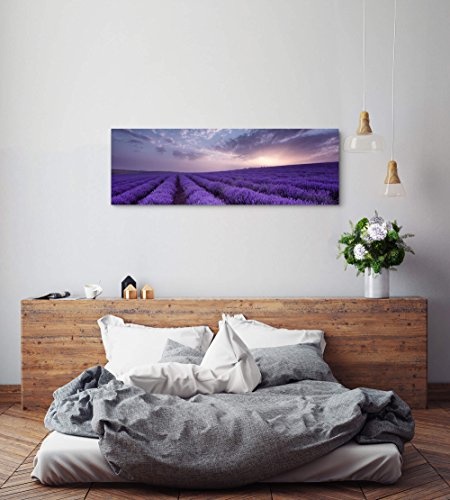 Paul Sinus Art Leinwandbilder | Bilder Leinwand 120x40cm Lavendel Feld