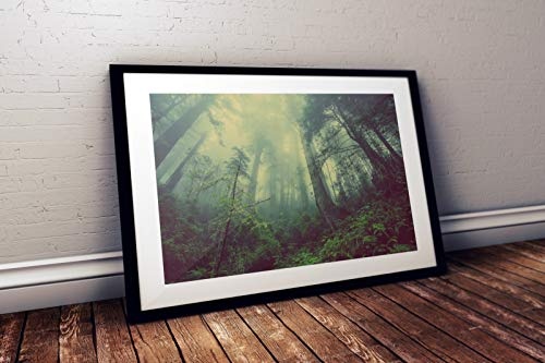 Zopix Premium Poster (XXL) Wald Bäume Nebel Natur Wandbild - 91x61 cm (versch. Größen) - 190g Premium-Papierdruck - ? Garantierte Top-Qualität