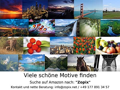 Zopix Premium Poster (XXL) Wald Bäume Nebel Natur Wandbild - 91x61 cm (versch. Größen) - 190g Premium-Papierdruck - ? Garantierte Top-Qualität