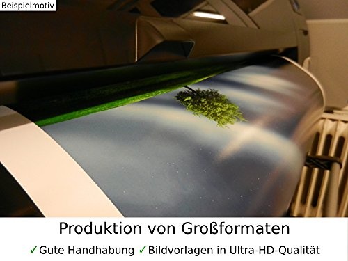 Zopix Premium Poster (XXL) Wald Bäume Nebel Natur Wandbild - 91x61 cm (versch. Größen) - 190g Premium-Papierdruck - ? Garantierte Top-Qualität