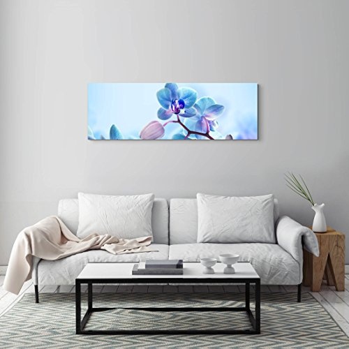 Paul Sinus Art Leinwandbilder | Bilder Leinwand 120x40cm Nahaufnahme Einer Blaue Orchidee