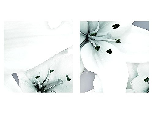 Bilder Blumen Lilien Wandbild 200 x 100 cm Vlies - Leinwand Bild XXL Format Wandbilder Wohnzimmer Wohnung Deko Kunstdrucke Blau 5 Teilig - MADE IN GERMANY - Fertig zum Aufhängen 006351c