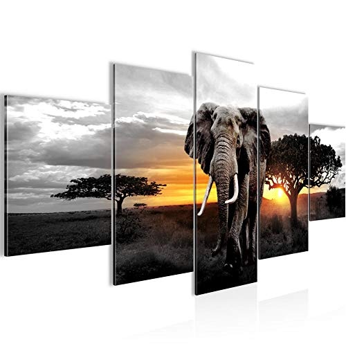 Bilder Afrika Elefant Wandbild 200 x 100 cm Vlies - Leinwand Bild XXL Format Wandbilder Wohnzimmer Wohnung Deko Kunstdrucke Gelb Grau 5 Teilig - MADE IN GERMANY - Fertig zum Aufhängen 001251c