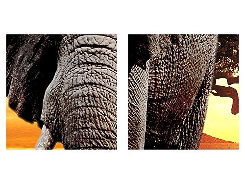 Bilder Afrika Elefant Wandbild 200 x 100 cm Vlies - Leinwand Bild XXL Format Wandbilder Wohnzimmer Wohnung Deko Kunstdrucke Gelb Grau 5 Teilig - MADE IN GERMANY - Fertig zum Aufhängen 001251c