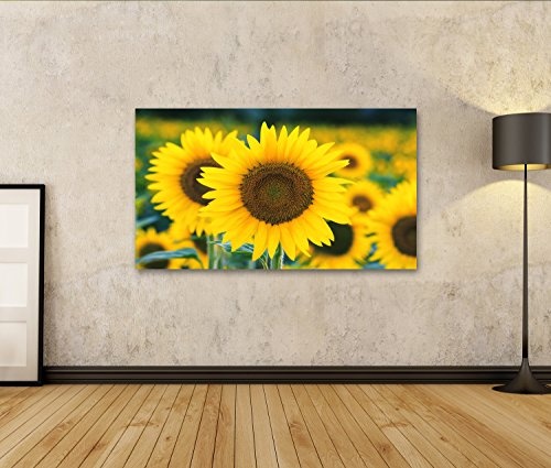 islandburner Bild Bilder auf Leinwand gelbe Sonnenblumen Wandbild, Poster, Leinwandbild HGL