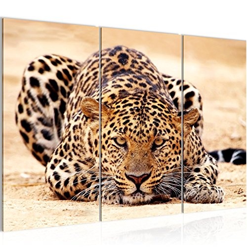 Runa Art Bilder Afrika Leopard Wandbild 120 x 80 cm - 3...