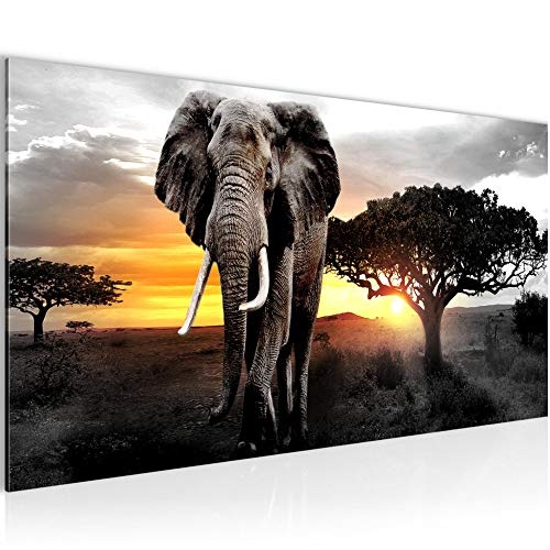 Bilder Afrika Elefant Wandbild Vlies - Leinwand Bild XXL...