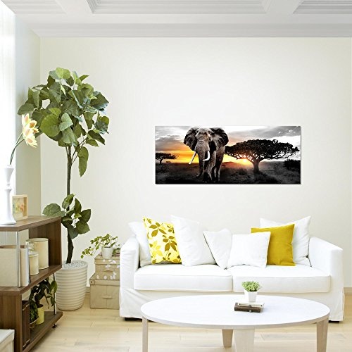 Bilder Afrika Elefant Wandbild Vlies - Leinwand Bild XXL Format Wandbilder Wohnzimmer Wohnung Deko Kunstdrucke Gelb Grau 1 Teilig - MADE IN GERMANY - Fertig zum Aufhängen 001212c
