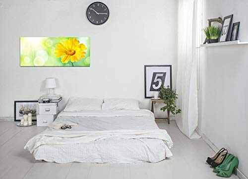 Paul Sinus Art GmbH gelbe Blume 120x 50cm Panorama Leinwand Bild XXL Format Wandbilder Wohnzimmer Wohnung Deko Kunstdrucke