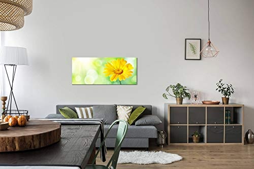Paul Sinus Art GmbH gelbe Blume 120x 50cm Panorama Leinwand Bild XXL Format Wandbilder Wohnzimmer Wohnung Deko Kunstdrucke