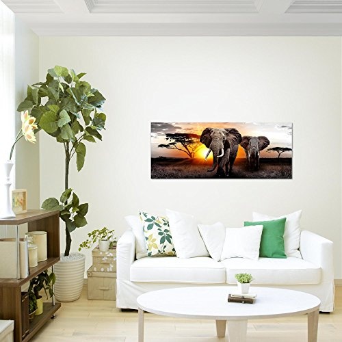 Bilder Afrika Elefant Wandbild 100 x 40 cm Vlies -...