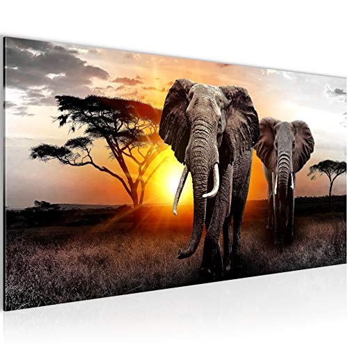Bilder Afrika Elefant Wandbild 100 x 40 cm Vlies - Leinwand Bild XXL Format Wandbilder Wohnzimmer Wohnung Deko Kunstdrucke Gelb 1 Teilig - Made IN Germany - Fertig zum Aufhängen 007612a