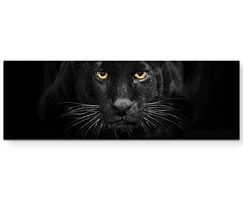Leinwandbilder | Bilder Leinwand 120x40cm Schwarzer Panther