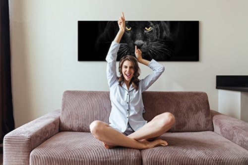 Leinwandbilder | Bilder Leinwand 120x40cm Schwarzer Panther