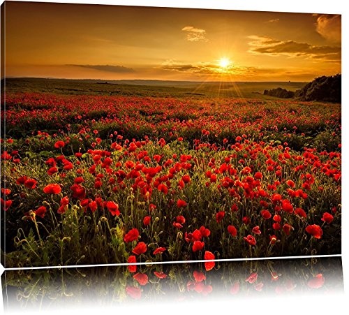 Leinwandbild Panorama Landschaftsbild Mohnblumen beim blühen, Mohnfeld bei Sonnenuntergang in tollen warmen Farben! Wolken am Himmel! Ein Leinwandbild für jede Wand (80 x 60 cm)