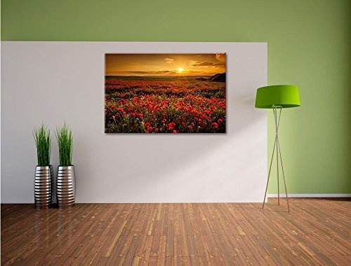 Leinwandbild Panorama Landschaftsbild Mohnblumen beim blühen, Mohnfeld bei Sonnenuntergang in tollen warmen Farben! Wolken am Himmel! Ein Leinwandbild für jede Wand (80 x 60 cm)