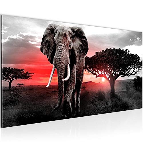 Bilder Afrika Elefant Wandbild Vlies - Leinwand Bild XXL...