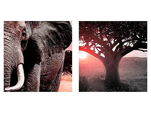 Bilder Afrika Elefant Wandbild Vlies - Leinwand Bild XXL Format Wandbilder Wohnzimmer Wohnung Deko Kunstdrucke Rot Grau 1 Teilig - MADE IN GERMANY - Fertig zum Aufhängen 001212b