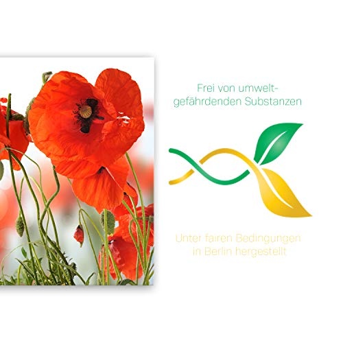 ge Bildet® hochwertiges Leinwandbild Pflanzen Bilder - Mohn - Blumen Rot Natur - 70 x 50 cm einteilig 2206 D