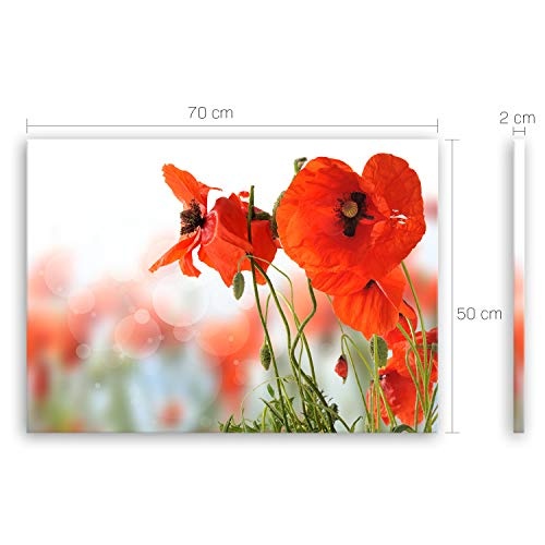 ge Bildet® hochwertiges Leinwandbild Pflanzen Bilder - Mohn - Blumen Rot Natur - 70 x 50 cm einteilig 2206 D