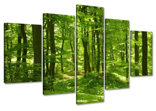 Visario Leinwandbilder 6411 Bild auf Leinwand grüner Wald fertig gerahmt, 5-teilig, 100 cm