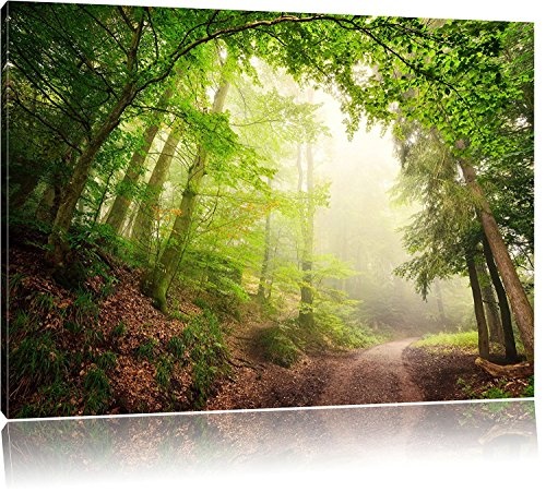 bestforhome Sonnenstrahlen Waldweg, Format: 120x80cm auf Leinwand