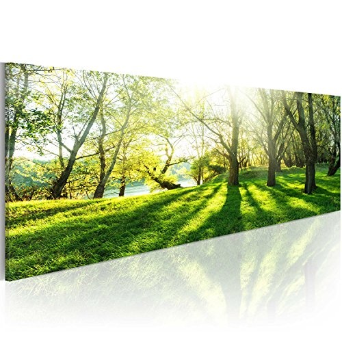 murando Wandbild Wald 150x50 cm - Einzigartiger XXL...