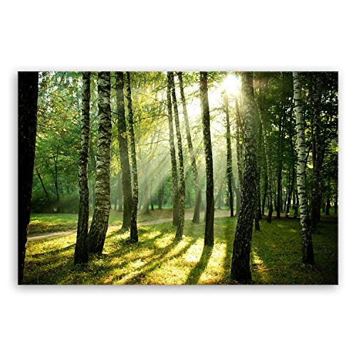 ge Bildet® hochwertiges Leinwandbild XXL Naturbilder Landschaftsbilder - Wald - Natur Blumen Wald Sonnenschein grün - 120 x 80 cm einteilig 2213 I
