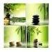 Homyl 4 Stück Pflanzen Sonnenaufgang Sonnenuntergang Wandbilder Kunstdruck Leinwand Bilder - Grüner Bambus