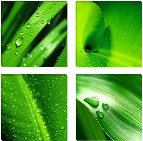 Visario Leinwandbilder 6601 Bild auf Leinwand Blätter, 4 x 30 x 30 cm, 4 Teile, grün