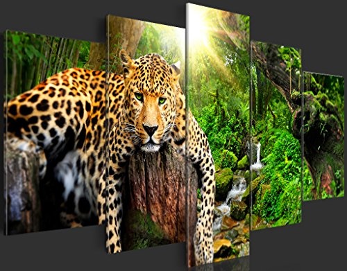 murando - Bilder 100x50 cm - Leinwandbilder - Fertig Aufgespannt - Vlies Leinwand - 5 Teilig - Wandbilder XXL - Kunstdrucke - Wandbild - Tier Leopard Natur g-C-0031-b-n