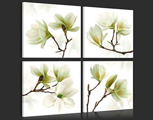 murando - Bilder Blumen 40x40 cm - Vlies Leinwandbild - 4 TLG - Kunstdruck - modern - Wandbilder XXL - Wanddekoration - Design - Wand Bild - Magnolien weiß grün b-A-0259-b-l