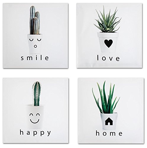 4er Set Wandbild Je 28x28cm Pflanze Grün Sukkulente Kaktus Kakteen Love Home Happy Smile Wanddeko