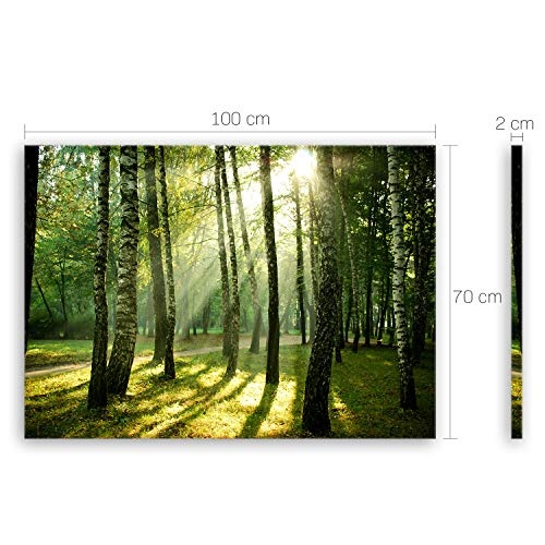 ge Bildet® hochwertiges Leinwandbild XXL Pflanzen Bilder - Wald - Natur Blumen Wald Sonnenschein grün - 100 x 70 cm einteilig 2207 J