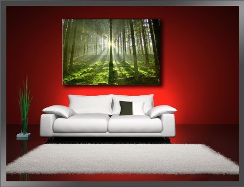 Visario Leinwandbilder 5130 Bild auf Leinwand Wald, 120 x...