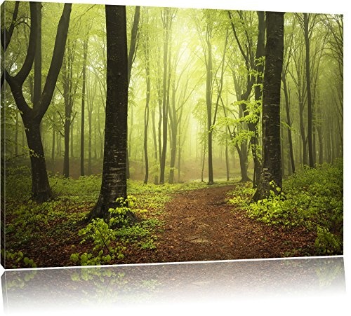 Sonniger Weg im atemberaubenden Wald, Format: 80x60 auf...