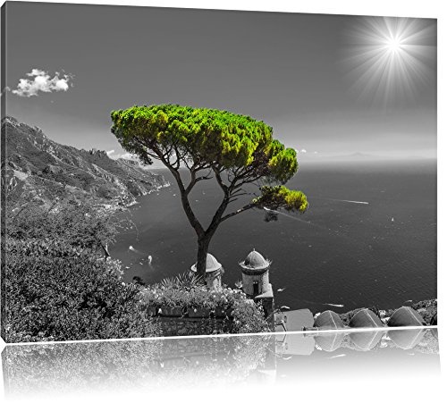 Mediteraner Baum am Mittelmeer schwarz/weiß Format:...