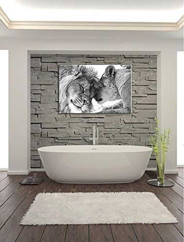 Schönes bezauberndes kuschelndes Löwenpaar in Afrika in der Savanne! schwarz/weiß auf Leinwand, XXL riesige Bilder fertig gerahmt mit Keilrahmen, kein Poster oder Plakat (100x70cm)