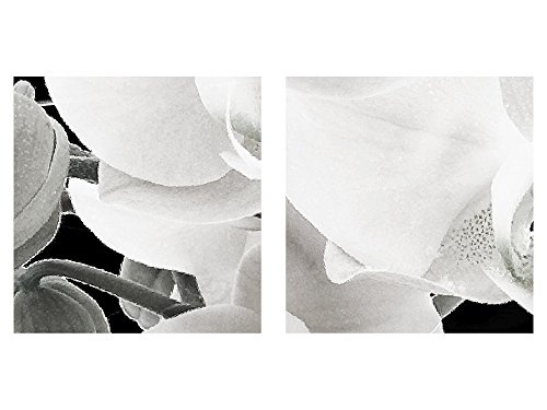 Bilder Blumen Orchidee Wandbild 120 x 80 cm Vlies - Leinwand Bild XXL Format Wandbilder Wohnzimmer Wohnung Deko Kunstdrucke Schwarz Weiß 3 Teilig - MADE IN GERMANY - Fertig zum Aufhängen 203231a