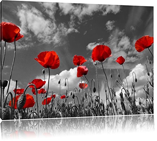 Wundervolle Wiese mit roten Blumen Schwarz/Weiß, Format: 80x60 auf Leinwand, XXL riesige Bilder fertig gerahmt mit Keilrahmen, Kunstdruck auf Wandbild mit Rahmen, günstiger als Gemälde oder Ölbild, kein Poster oder Plakat