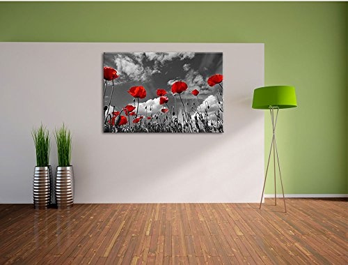 Wundervolle Wiese mit roten Blumen Schwarz/Weiß, Format: 80x60 auf Leinwand, XXL riesige Bilder fertig gerahmt mit Keilrahmen, Kunstdruck auf Wandbild mit Rahmen, günstiger als Gemälde oder Ölbild, kein Poster oder Plakat