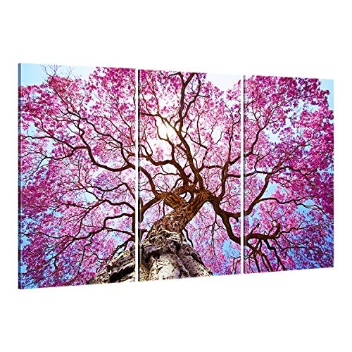 ge Bildet® hochwertiges Leinwandbild XXL Naturbilder Landschaftsbilder - Rosa Lapacho Baum in Pocone - Brasilien - Natur Baum Pink Lila - 165 x 100 cm mehrteilig (3 teilig) 2212 B